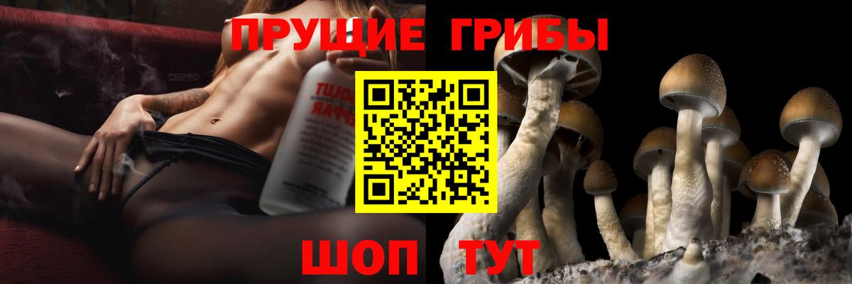 Псилоцибиновые грибы прущие грибы  Вход с VPN  Люберцы 